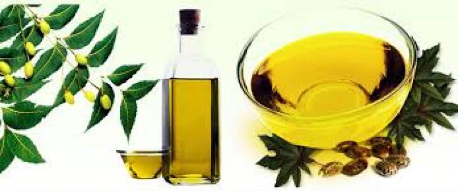 Olio neem 100 ml