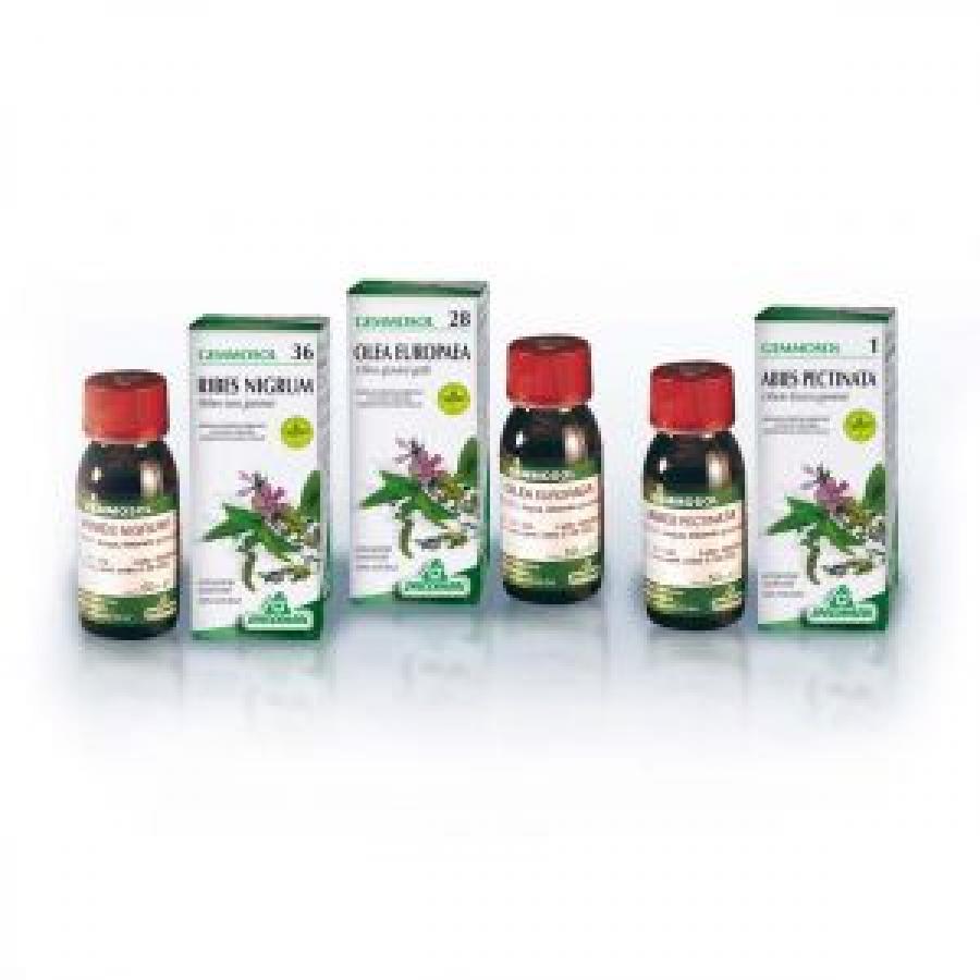 Gemmoderivato biancospino 50 ml