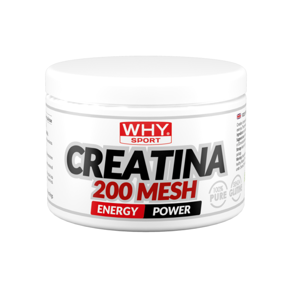 WHY SPORT CREATINA 200 MESH 200 GR